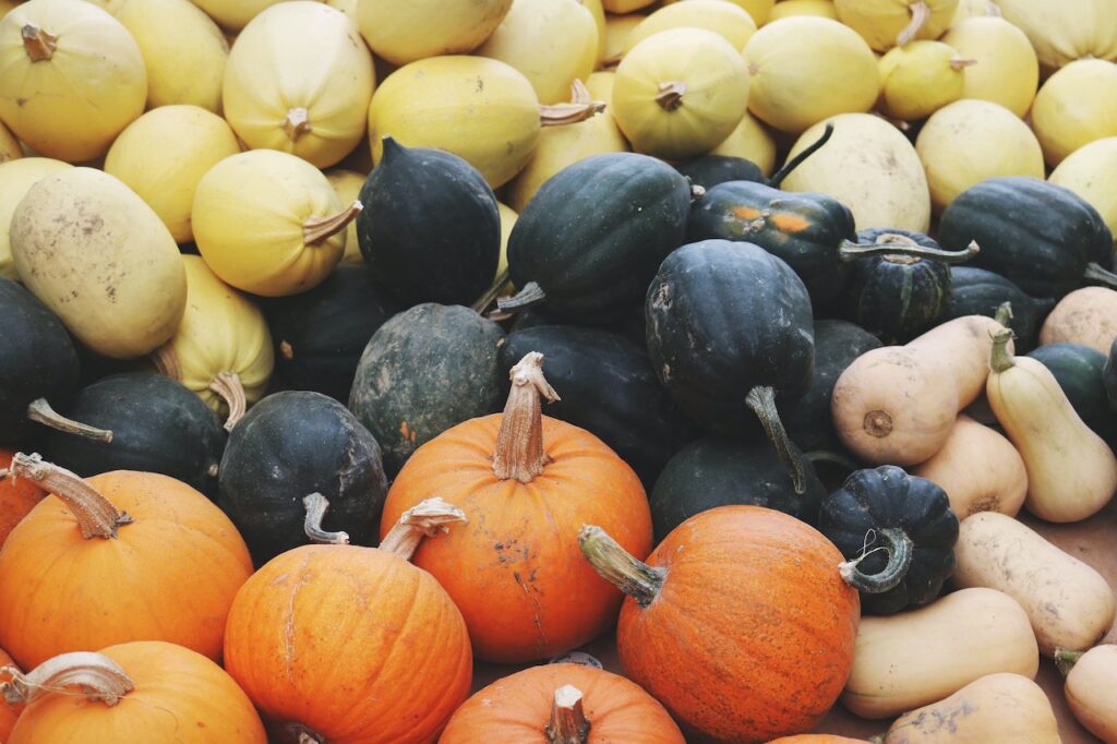 Various color pumpkins for classy Halloween decorating ideas