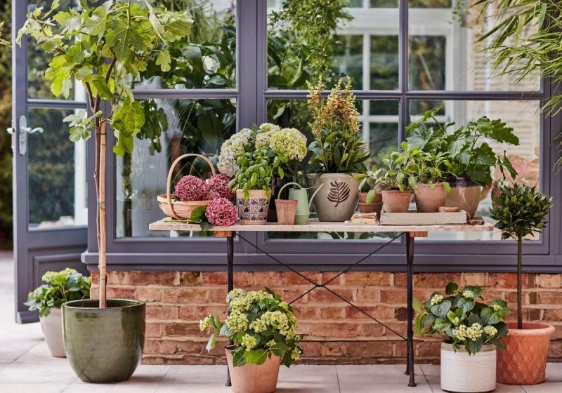 5 Ways To Properly Take Care Of Your Garden This Summer