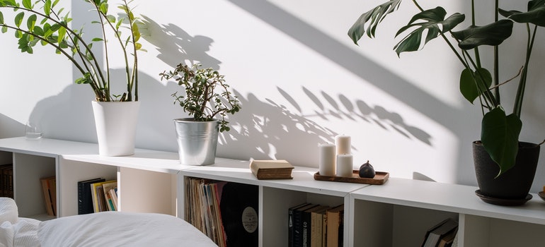 Plants on a White Wooden Bookshelf