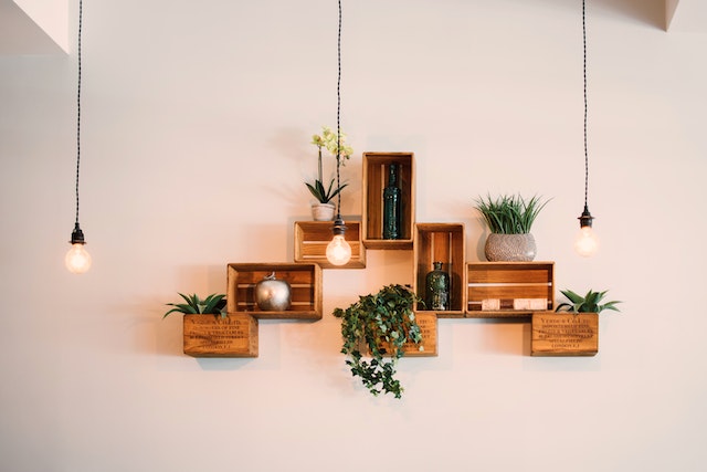 crate shelves and plants on a wall as one of the interior design must-haves
