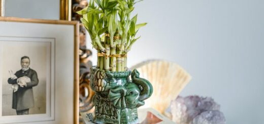 An elephant vase with plants illustrating Feng Shui in moving.