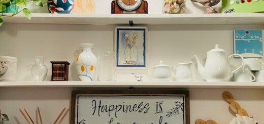 A shelf with a variety of souvenirs